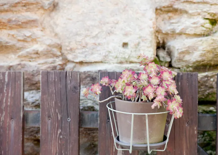 Les Groseilliers 펜션 Moyrazes